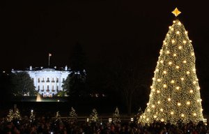 lighting of tree.jpg